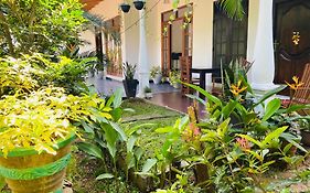 Fairview Dill Homestay